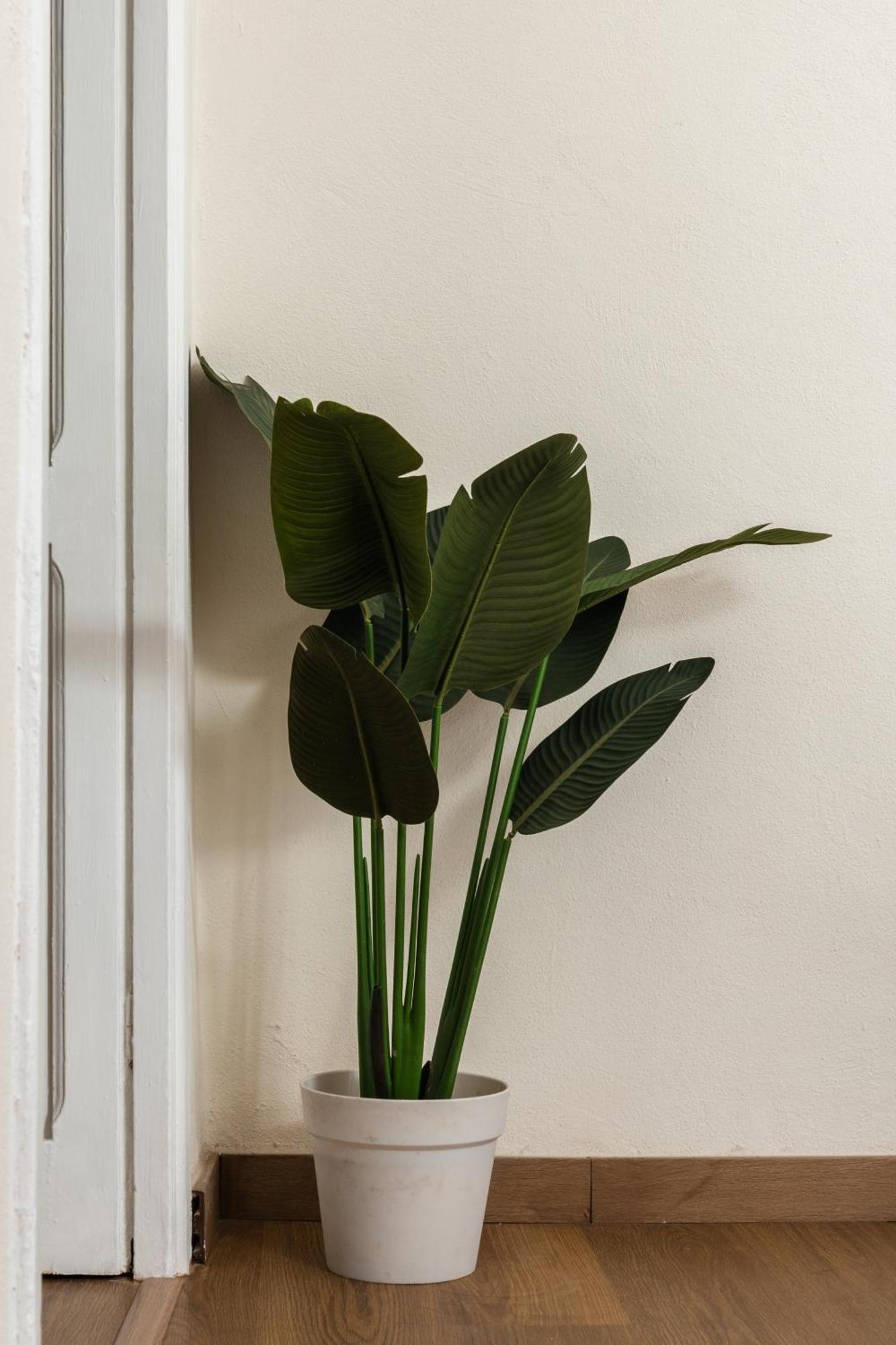 Apartmán Cozy Historical Flat Napoli Exteriér fotografie